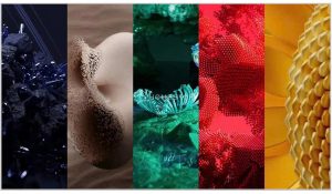 Infographic Màu Sắc Hot Trend Nhà Meme Style – Cập Nhật Xu Hướng Thời Trang 2025